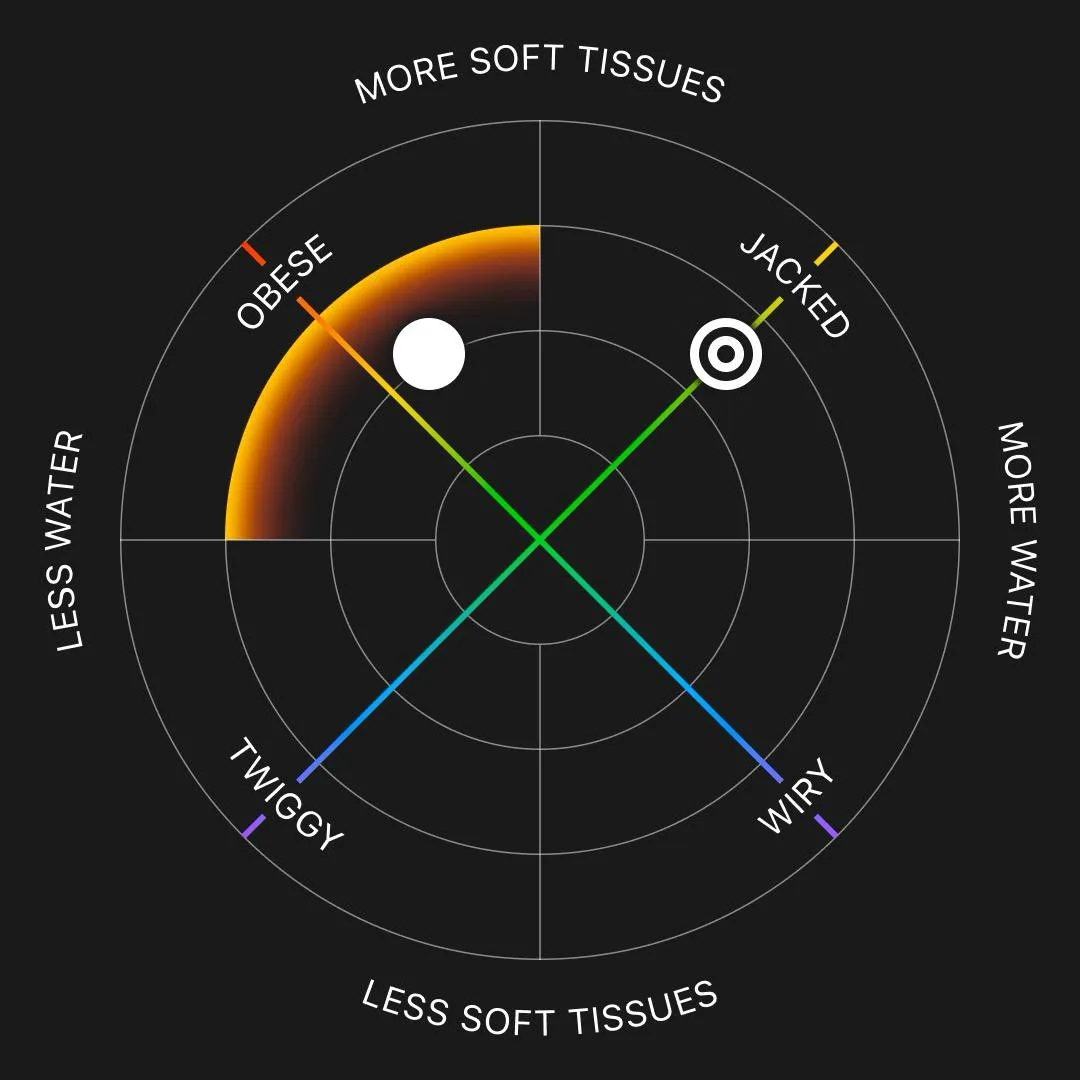 Body Composition Chart
