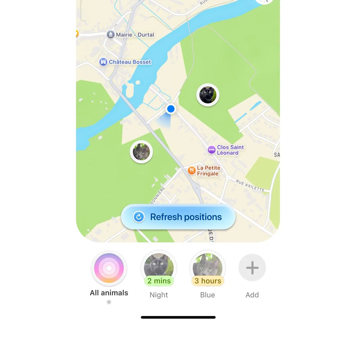 Pet Location Tracker – Map UI Design