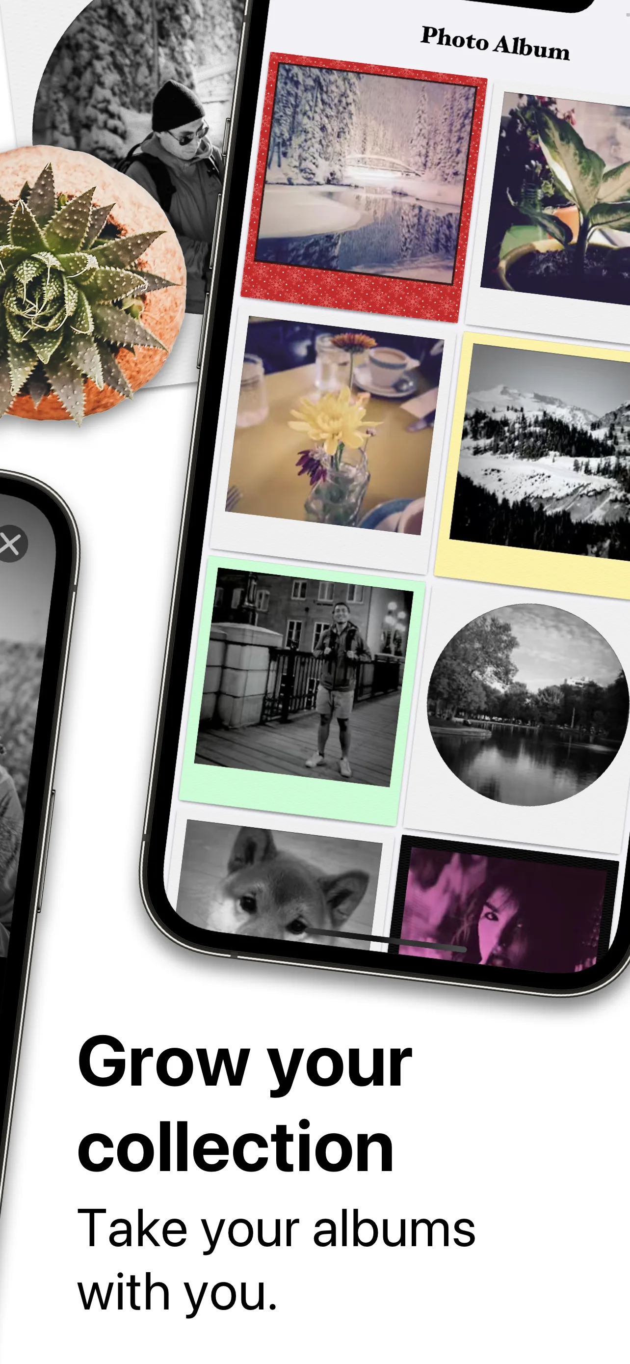 FRMD — screenshot 6